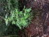 20130701_194123.jpg