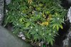 SIG_singlescrog__021_0207.jpg