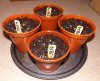 DSCF5061.jpg
