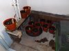 DSCF5078.jpg