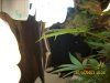 Day322.jpg Day322.jpg