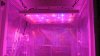 grow 017.jpg grow 017.jpg