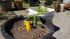 WP_20130703_017.jpg