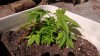 WP_20130703_013.jpg