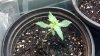 2013-07-04_18-02-00_195.jpg 2013-07-04_18-02-00_195.jpg