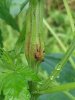 20130705_095141.jpg