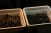 experimnet 7-6-2013 004.jpg