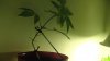 SAM_0659.jpg SAM_0659.jpg