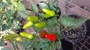 20130706_093503.jpg