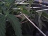 20130708_141751.jpg