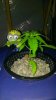 WP_20130708_007.jpg