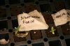 experimnet 7-6-2013 004.jpg