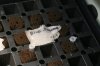 experimnet 7-6-2013 006.jpg