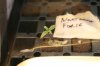 experimnet 7-6-2013 008.jpg