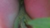 IMAG0137.jpg