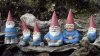 gnomes.jpg