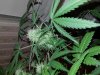 20130707_224723.jpg