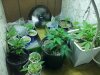 20130709_171627.jpg