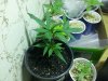 20130709_171641.jpg 20130709_171641.jpg