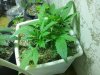 20130709_171715.jpg