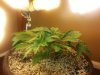 20130710_172851.jpg