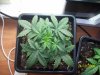 100_0290.jpg