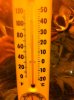 photo 5.JPG