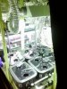 IMG_20130712_091614.jpg
