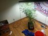 20130713_132506_1.jpg