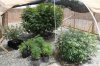 DSC01234.jpg