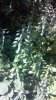2013-07-15_12-36-58_365.jpg