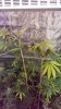 IMAG0069.jpg