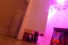 P1030327.jpg