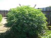 DSCN2113.jpg