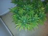 20130722_083821.jpg
