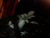 Video Snapshot-2.jpg