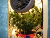 2008_07200006.JPG