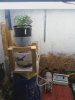 slikwill13-albums-my-setup-picture18257-ghetto-drip-system-1-1.jpg
