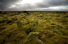 Iceland-pictures-88.jpg Iceland-pictures-88.jpg