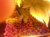 20130723_190413.jpg