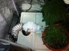 IMG_1835.jpg IMG_1835.jpg