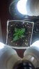 2013-07-23_13-55-54_545.jpg 2013-07-23_13-55-54_545.jpg