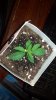2013-07-24_11-09-49_664.jpg 2013-07-24_11-09-49_664.jpg