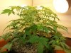 20130725_090822.jpg