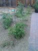 CameraZOOM-20130725062600222.jpg