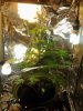 2013-07-25_13.41.27.jpg