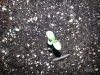 20130725_055040.jpg