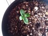 20130725_190631.jpg