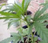 DSCN4572.jpg