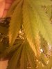 20130727_203511.jpg 20130727_203511.jpg
